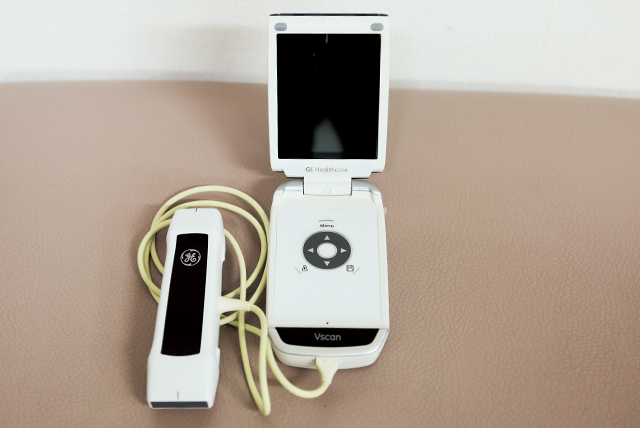 携帯型エコー装置