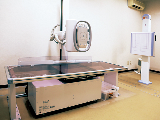 X線写真(レントゲン)